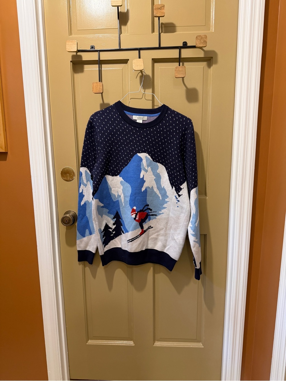Aspen super fun ski sweater